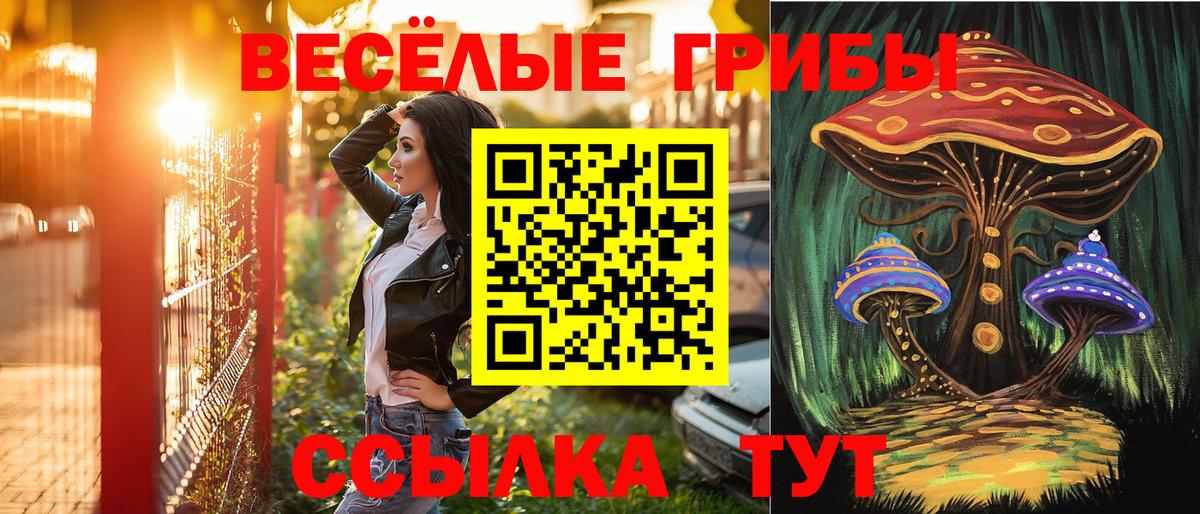 Галлюциногенные грибы мухоморы  сколько стоит  Красноярск  Вход с VPN  Галлюциногенные грибы ЛСД 